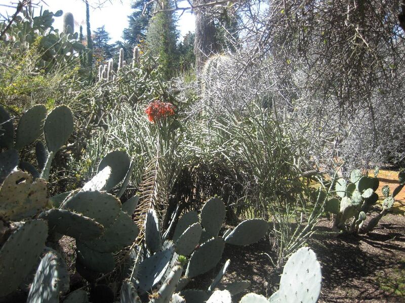 File:1280px-IMG 2330 hunt0903.jpg