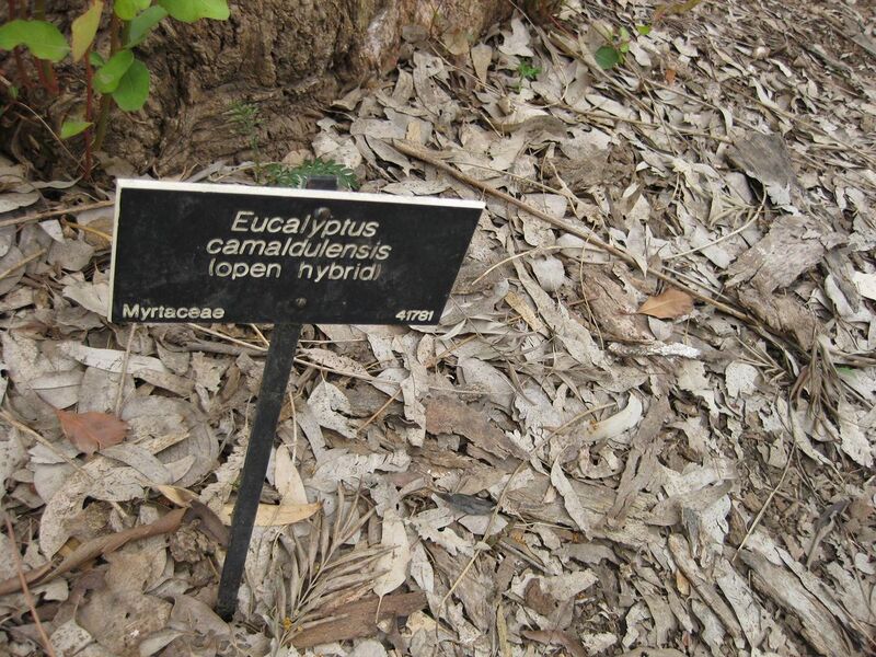 File:1280px-IMG 4702 hunt0904.jpg