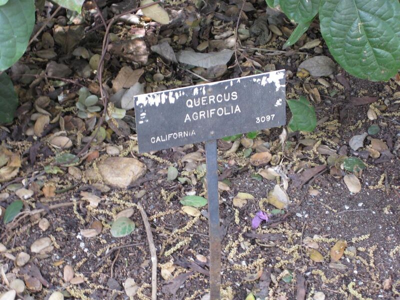 File:1280px-IMG 5123 hunt0904.jpg