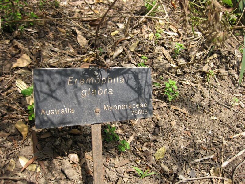 File:1024px-IMG 4595 hunt0904.jpg