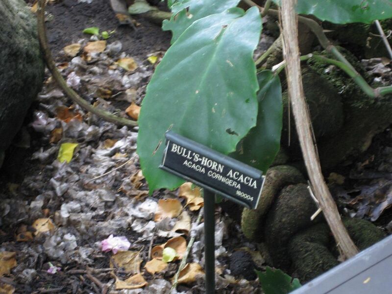 File:1280px-IMG 0962 bbg09.jpg