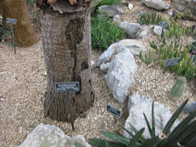 File:1280px-IMG 1288 bbg09.jpg