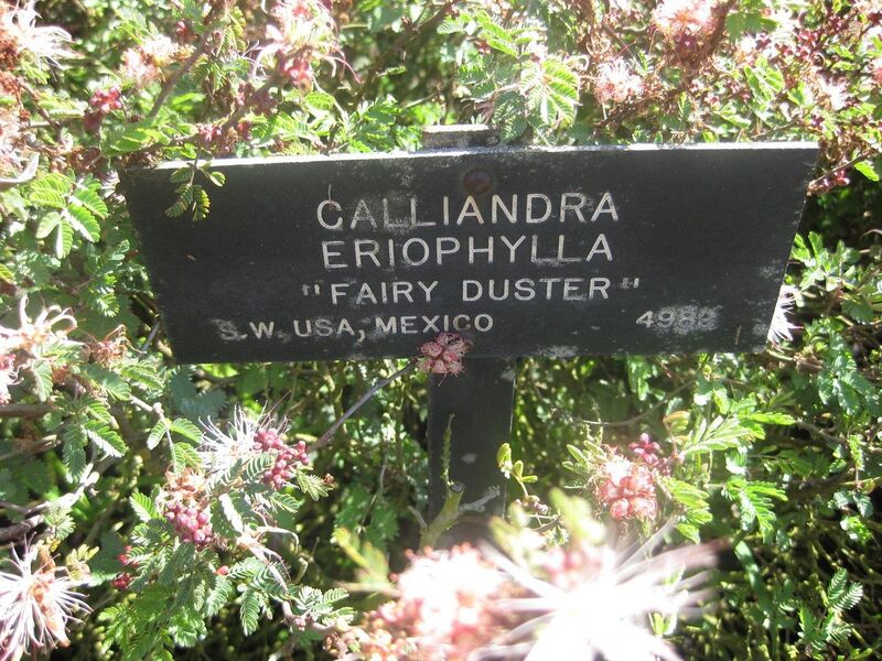 File:1280px-IMG 2476 hunt0903.jpg