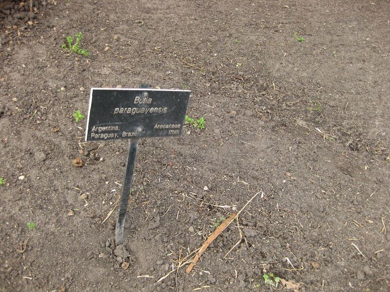 File:1280px-IMG 4111 hunt0904.jpg