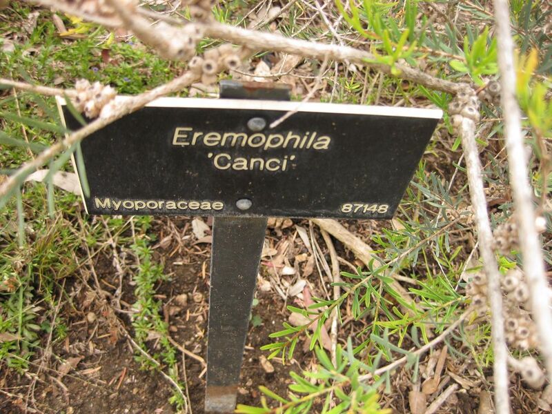 File:1280px-IMG 7189 hunt09jun.jpg