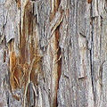 Thumbnail for version as of 10:31, 29 April 2025