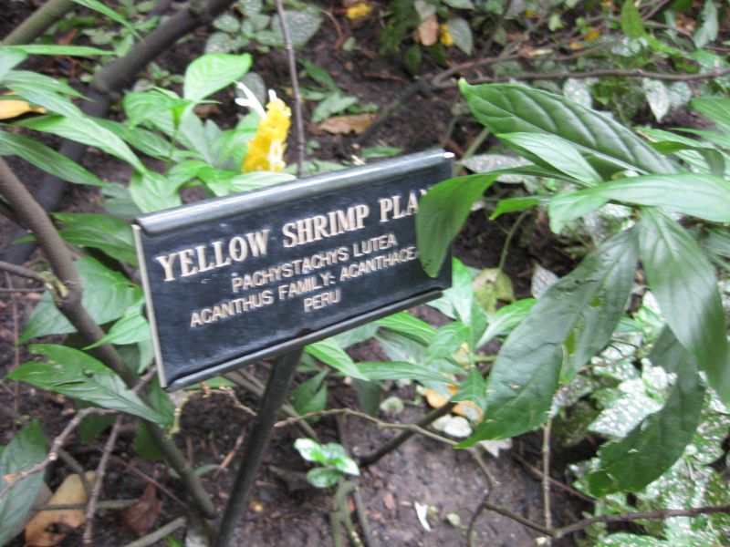 File:IMG 1134 bbg09.jpg