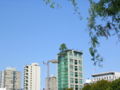 An extreme example of a roof garden, in Vancouver.]]