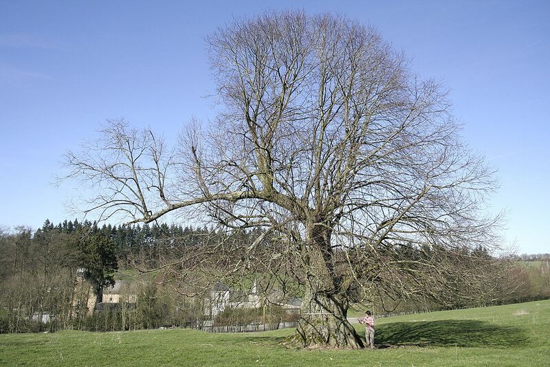 File:1024px-Emptinne AR1JPG.jpg