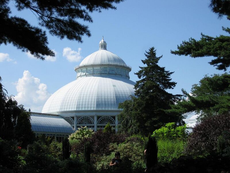 File:1280px-IMG 0359 nybg09.jpg