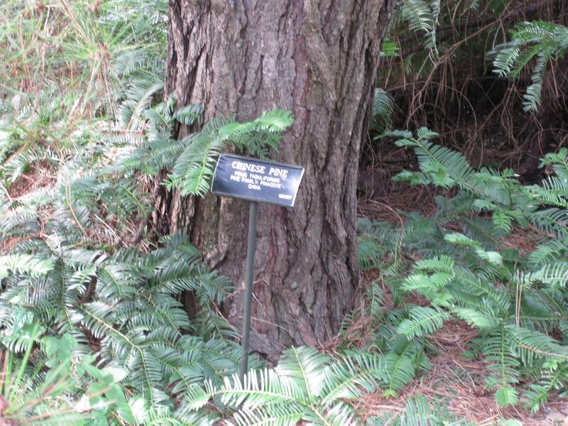 File:1280px-IMG 0702 bbg09.jpg