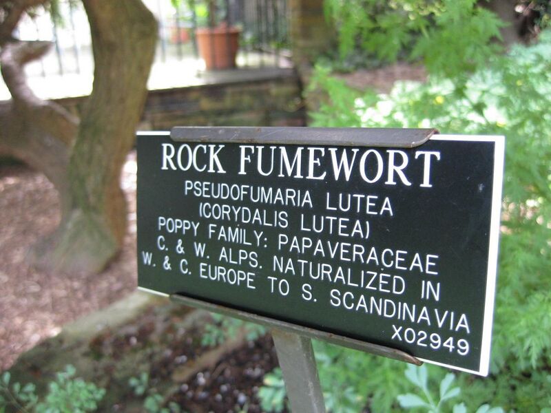 File:1280px-IMG 0726 bbg09.jpg