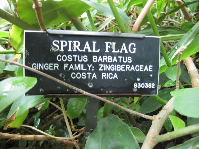 File:1280px-IMG 1181 bbg09.jpg