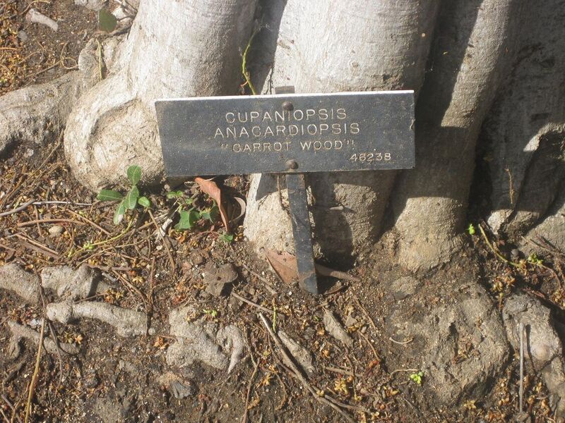 File:1280px-IMG 1966 hunt0903.jpg