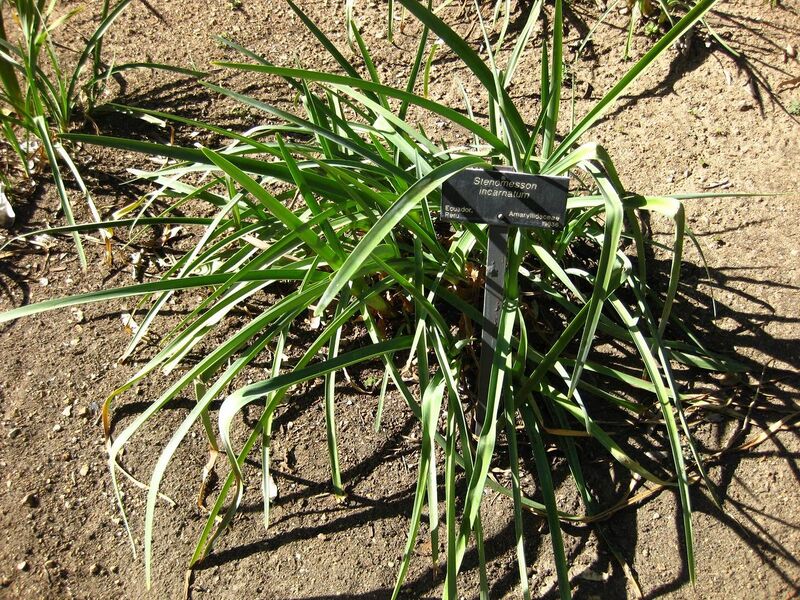 File:1280px-IMG 2073 hunt09oct.jpg