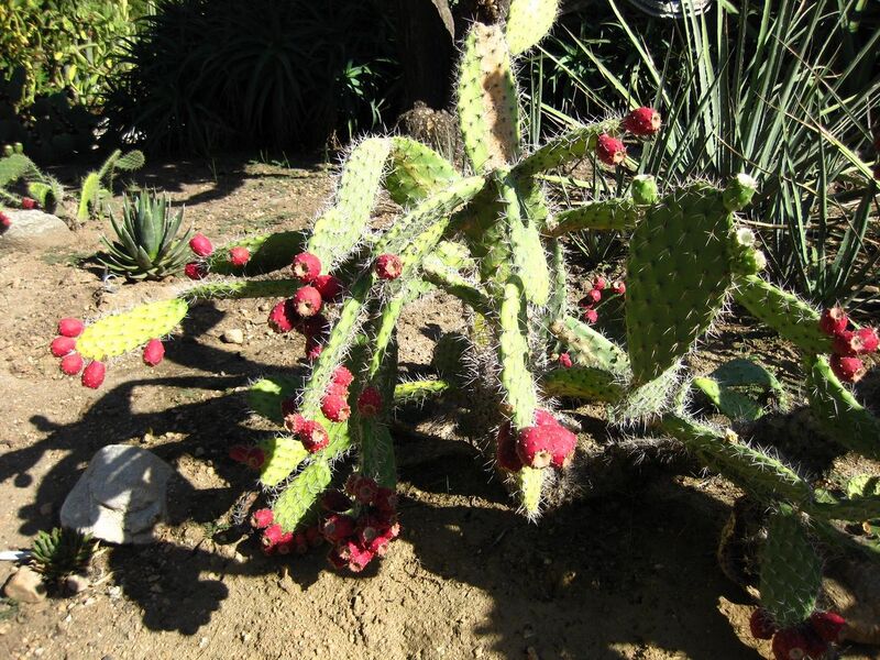 File:1280px-IMG 2098 hunt09oct.jpg