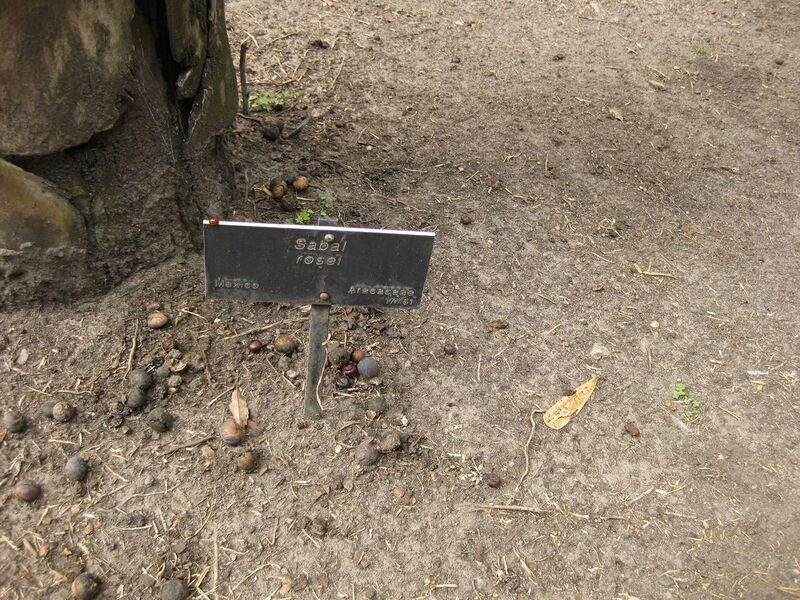 File:1280px-IMG 4114 hunt0904.jpg