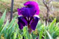 Thumbnail for version as of 10:12, 12 May 2007