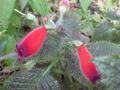 Thumbnail for version as of 08:55, 29 April 2025