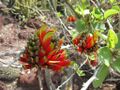 Thumbnail for version as of 09:04, 29 April 2025