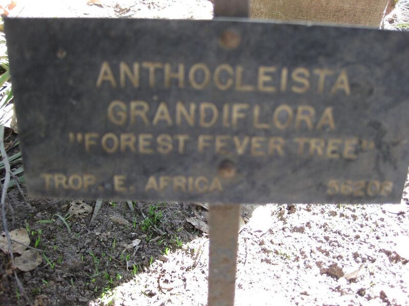 File:1280px-IMG 1928 hunt09oct.jpg