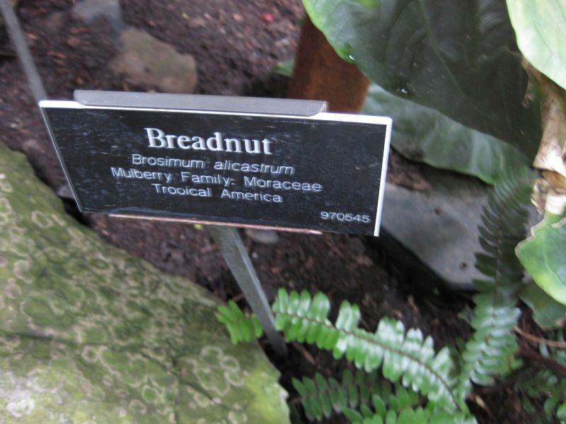 File:IMG 1103 bbg09.jpg
