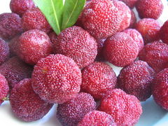 Myrica rubra fruits
