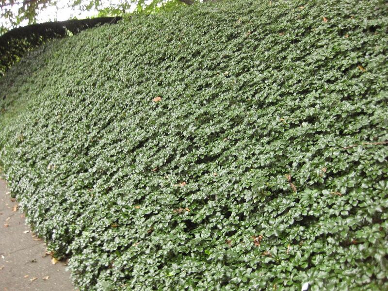 File:1280px-IMG 1409 bbg09.jpg