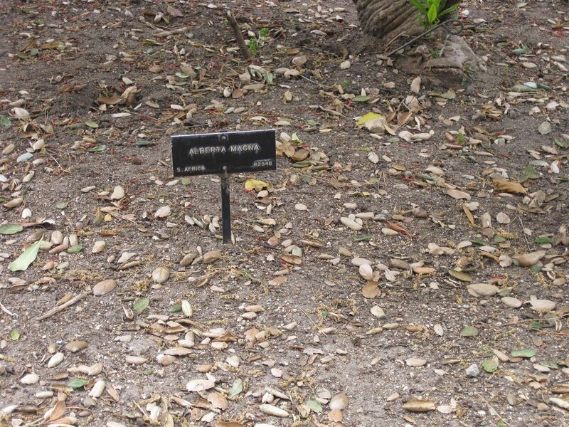 File:1280px-IMG 4924 hunt0904.jpg