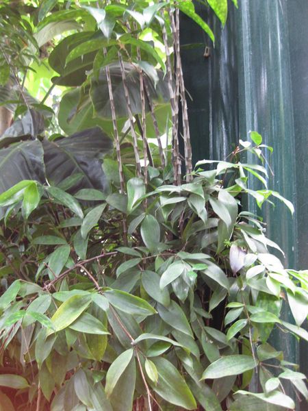 File:IMG 1709 hunt09oct.jpg