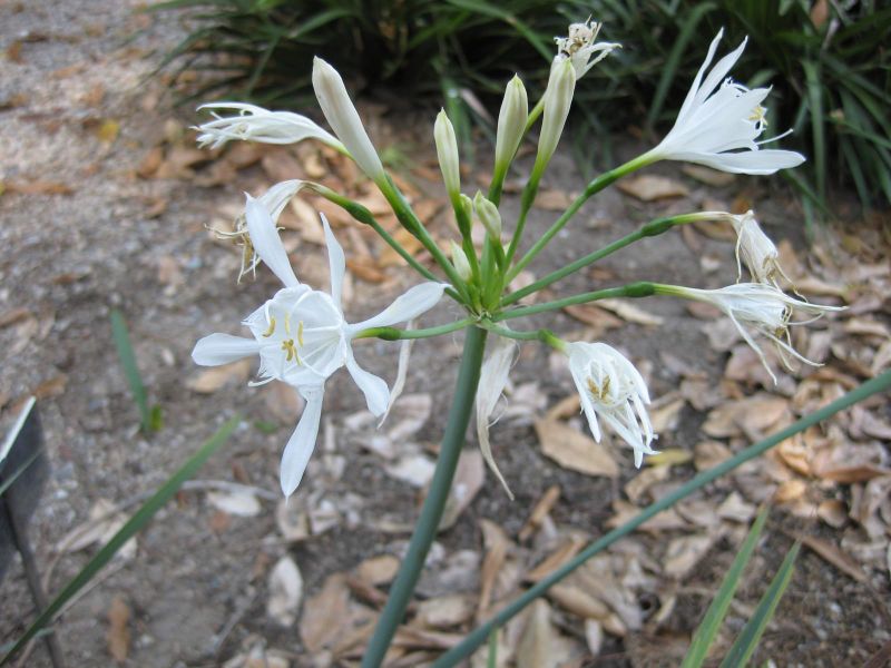 File:IMG 1888 hunt09oct.jpg