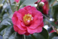 Thumbnail for version as of 15:03, 8 May 2007