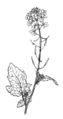 Thumbnail for version as of 11:20, 24 September 2007
