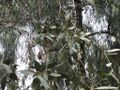 Thumbnail for version as of 09:22, 29 April 2025