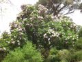 Thumbnail for version as of 09:45, 29 April 2025