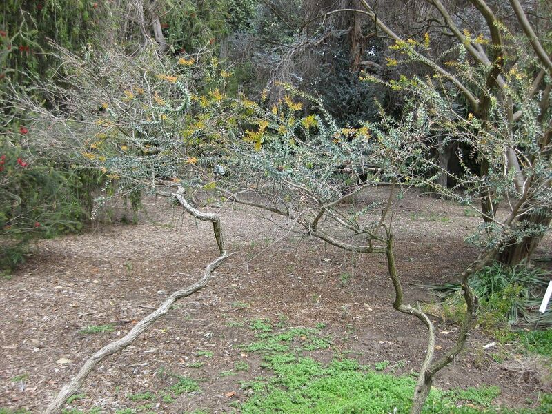 File:1280px-IMG 4552 hunt0904.jpg