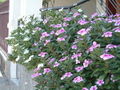 Thumbnail for version as of 17:39, 7 March 2008