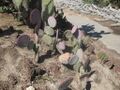 Thumbnail for version as of 10:05, 29 April 2025