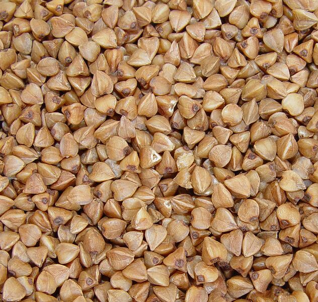 File:1079px-Fagopyrum гречка.jpg