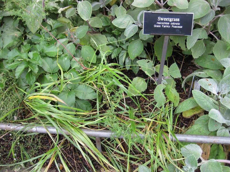 File:1280px-IMG 0720 bbg09.jpg