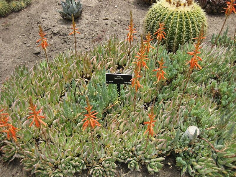 File:1280px-IMG 7425 hunt09jun.jpg