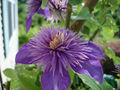 Thumbnail for version as of 22:46, 23 January 2008