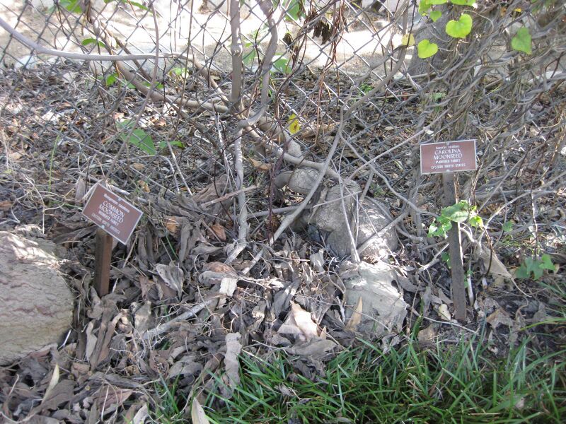 File:Azr4rqfxzloiwf5l8dfcapbul6wprzi.jpg