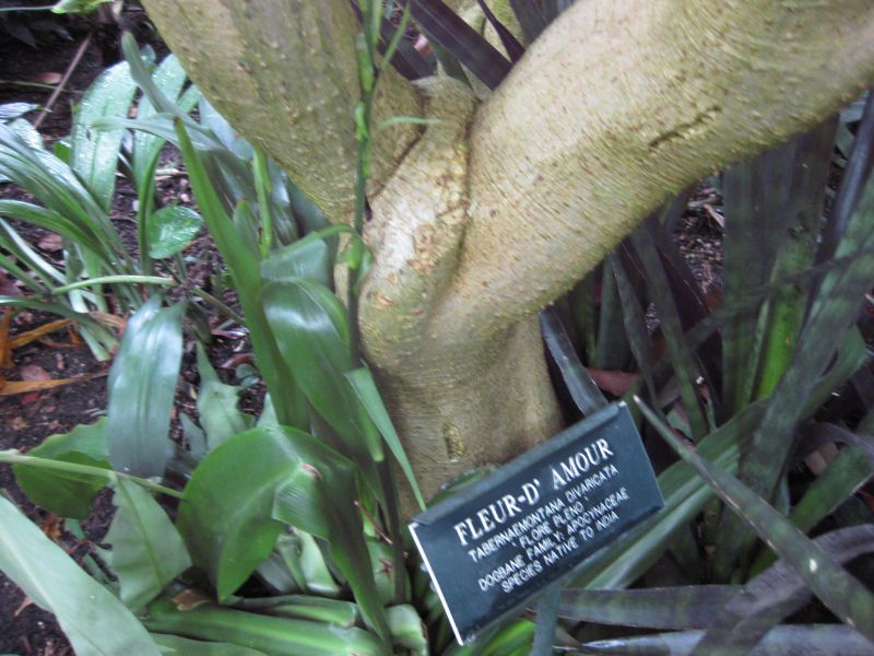 File:IMG 1209 bbg09.jpg