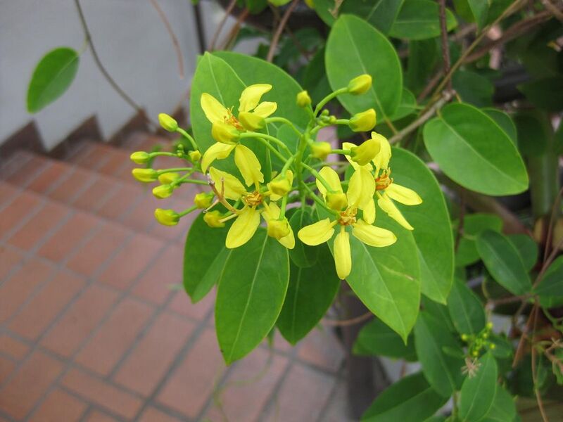 File:1024px-IMG 0878 bbg09.jpg