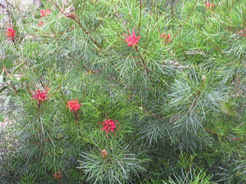 File:1280px-IMG 4556 hunt0904.jpg