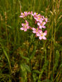 Thumbnail for version as of 04:36, 19 August 2007