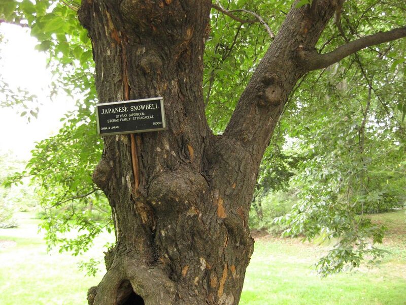 File:1280px-IMG 1361 bbg09.jpg