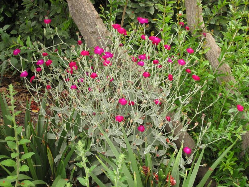 File:1280px-IMG 6833 hunt09jun.jpg