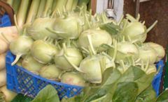 Kohlrabi stems with leaves removed